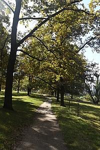 DSC_1168-web.jpg
