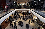DSC_0431.jpg