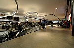 DSC_0461.jpg