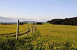 DSC_0001.jpg