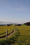 DSC_0002.jpg