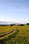 DSC_0003.jpg
