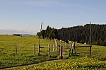 DSC_0005.jpg