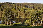 DSC_0016.jpg