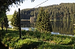DSC_0019.jpg