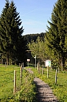 DSC_0022.jpg