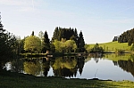 DSC_0027.jpg