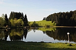 DSC_0035.jpg