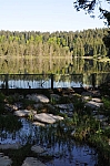 DSC_0041.jpg