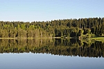 DSC_0047.jpg