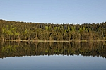 DSC_0048.jpg
