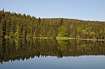 DSC_0050.jpg