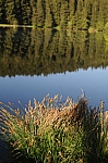DSC_0056.jpg