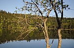 DSC_0063.jpg
