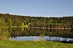DSC_0065.jpg