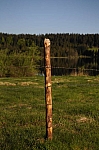 DSC_0068.jpg