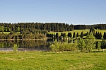 DSC_0069.jpg
