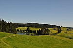 DSC_0070.jpg