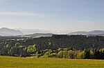 DSC_0072.jpg