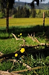 DSC_0081.jpg