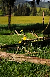 DSC_0086.jpg