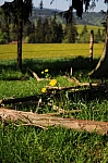 DSC_0089.jpg