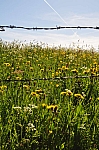 DSC_0091.jpg