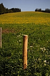 DSC_0107.jpg
