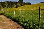 DSC_0112.jpg