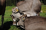 DSC_0127.jpg