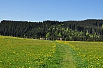 DSC_0146.jpg