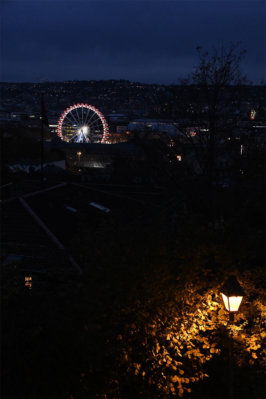 DSC_0403.jpg