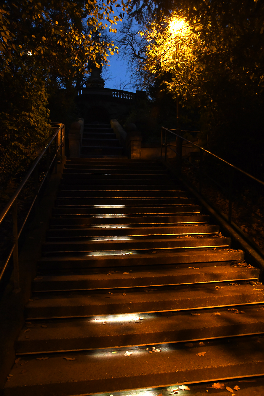 DSC_0408.jpg