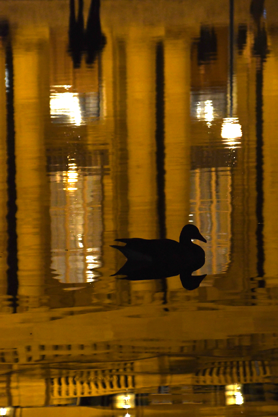 DSC_0436.jpg