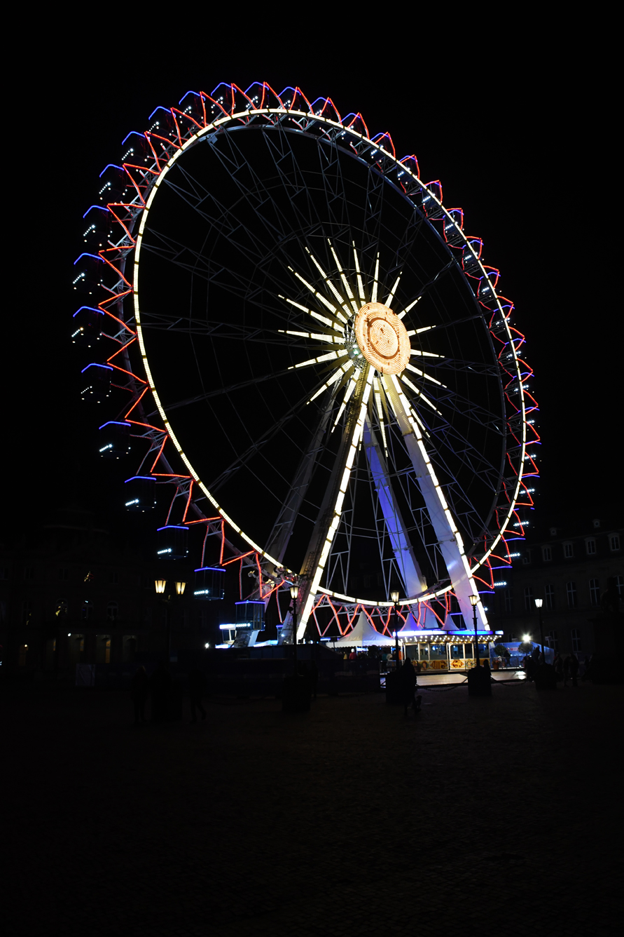 DSC_0441.jpg