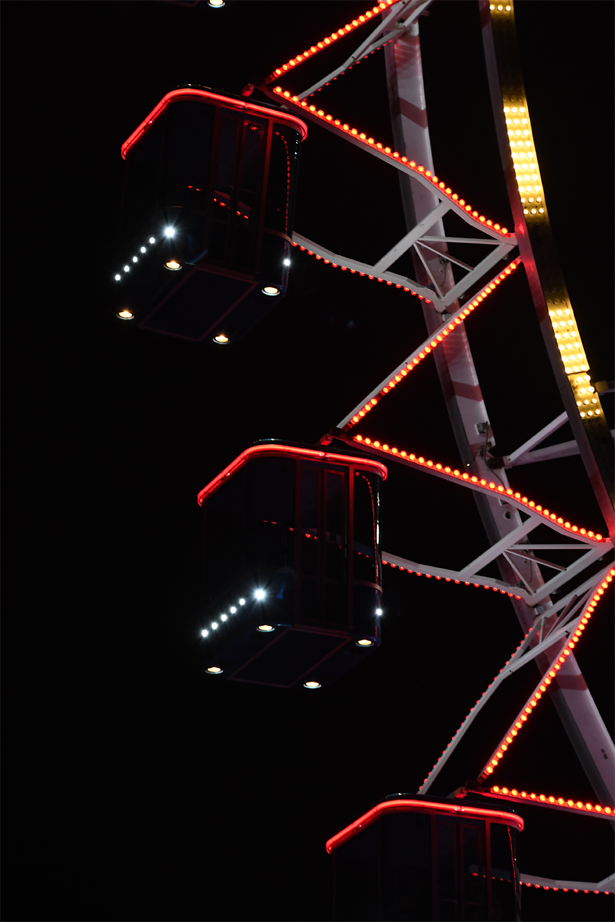 DSC_0442.jpg