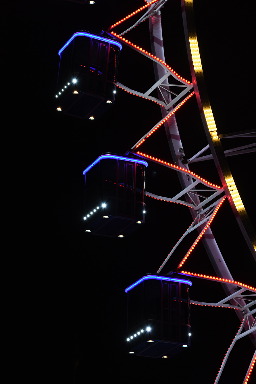 DSC_0444.jpg