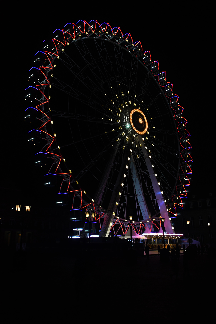 DSC_0448.jpg