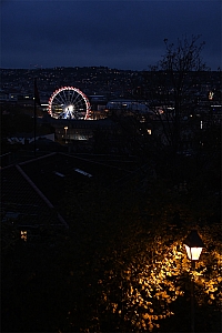 DSC_0403.jpg