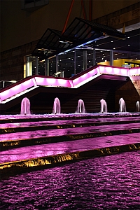 DSC_0410.jpg