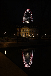 DSC_0418.jpg