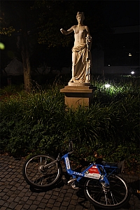 DSC_0438.jpg