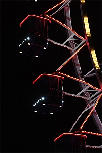 DSC_0442.jpg