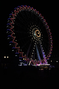 DSC_0448.jpg