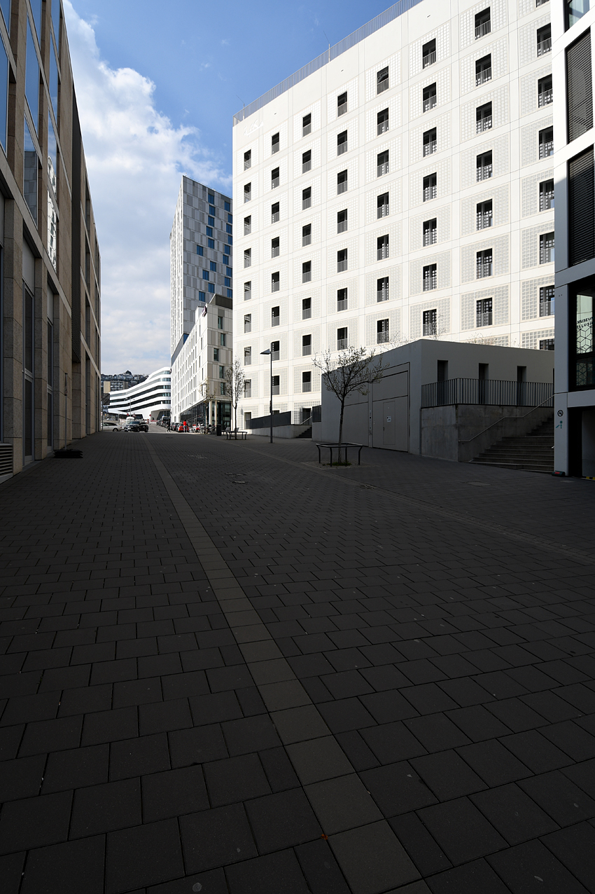 DSC_0029-72-web.jpg
