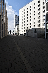 DSC_0029-72-web.jpg