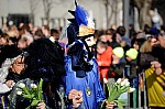 DSC_6105.jpg