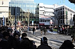 DSC_0768.jpg