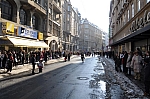 DSC_0785.jpg