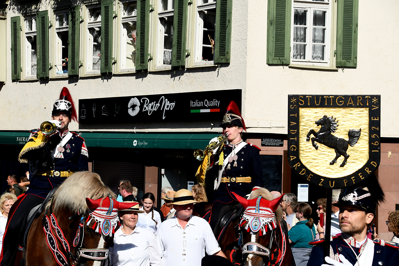 DSC_0929.JPG